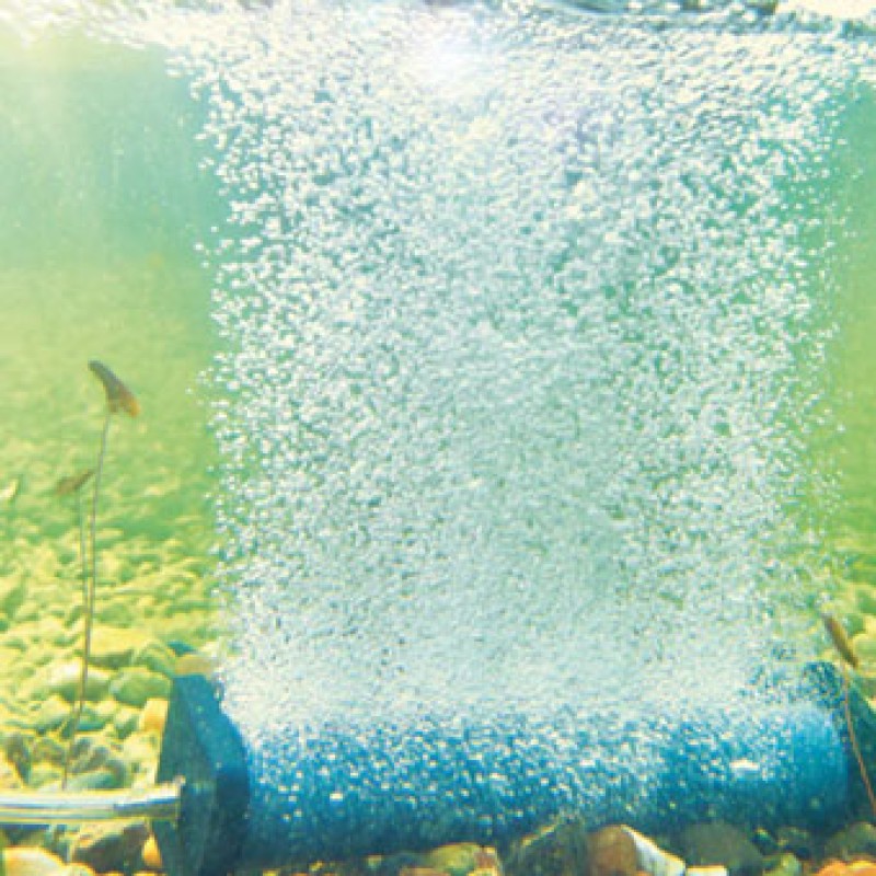 Air Stone Air Stone