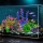 Aquarium Accessories