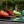Bean Bags