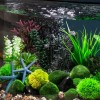 BIORB AQUATIC TOPIARY BALL SET 3 GREEN