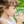 Water Purification