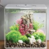 Aquatic Topiary Plant With Daisy