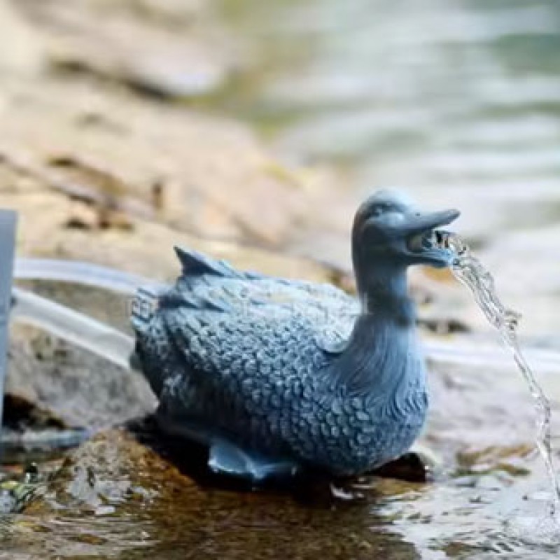 Water Spouts Duck