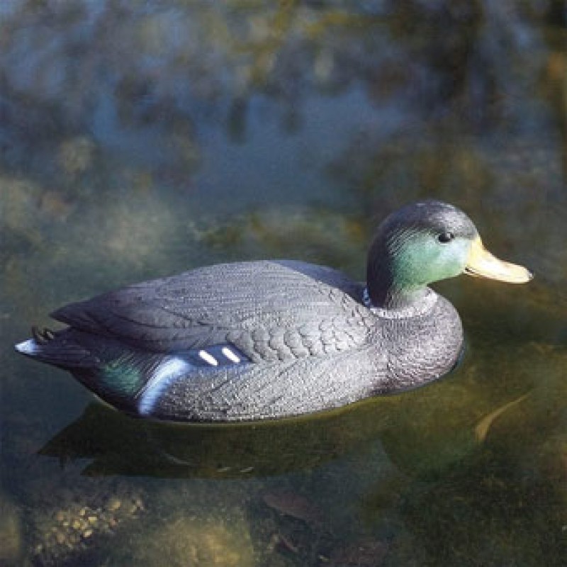 Pond Figures Mallard Duck Drake