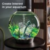BIORB EASY PLANT SET S GREEN BIORB EASY PLANT SET S GREEN
