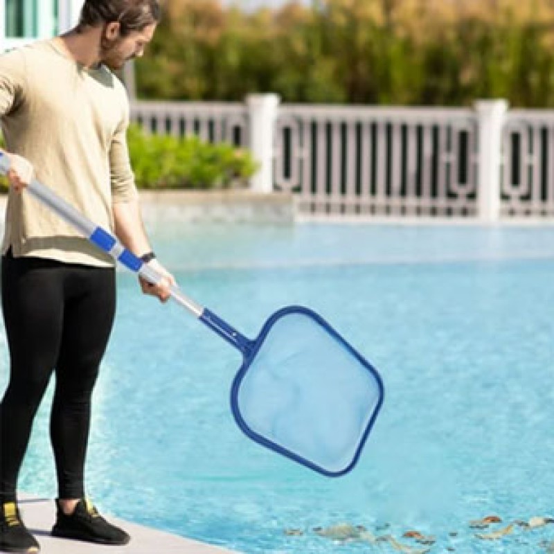 Leaf Skimmer