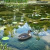 Pond figures Teal Female Pond figures Teal Female