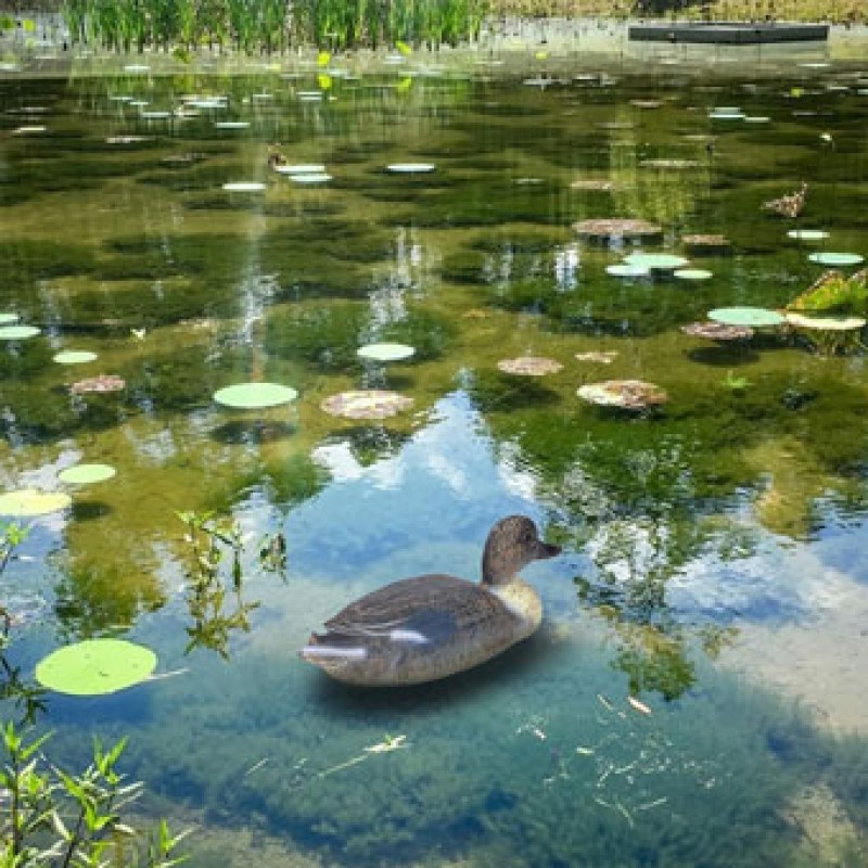 Pond figures Teal Female Pond figures Teal Female