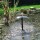 Outdoor Fountain Made In Germany