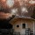 Outdoor cabins