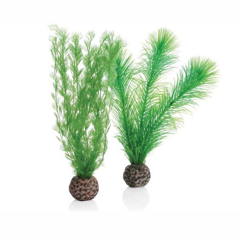 BIORB EASY PLANT SET S GREEN BIORB EASY PLANT SET S GREEN