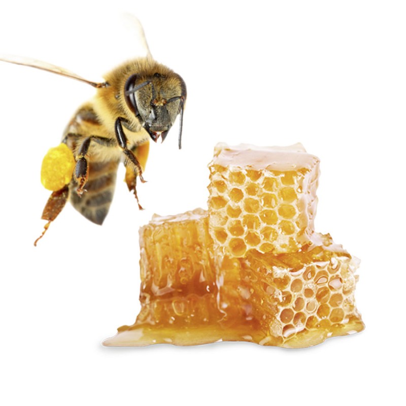 Sauna Aroma, Honey Sauna Aroma, Honey