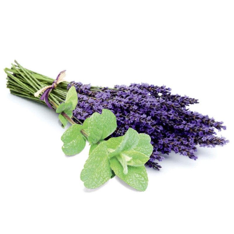 Sauna Peeling Cream, Lavender Mint Sauna Peeling Cream, Lavender Mint