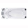 Passion SwimpSpa Dynamic Passion SwimpSpa Dynamic