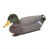 Pond Figures Mallard Duck Drake