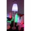 Illuminated Outdoor Lamp Illuminated Outdoor Lamp
