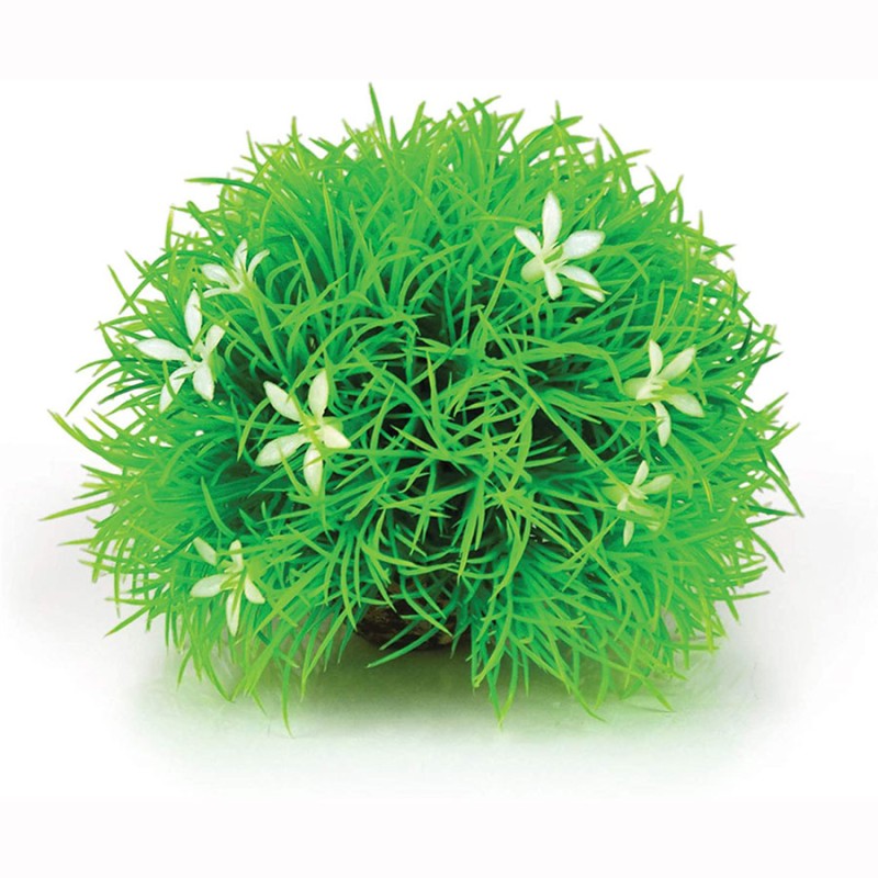 Aquatic Topiary Plant With Daisy Aquatic Topiary Plant With Daisy