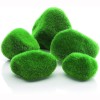Moss Pebbles Moss Pebbles