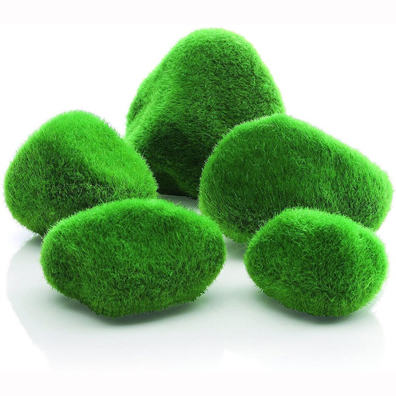 Moss Pebbles Moss Pebbles