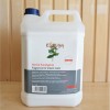 Steam Fragrance Eucalyptus Steam Fragrance Eucalyptus
